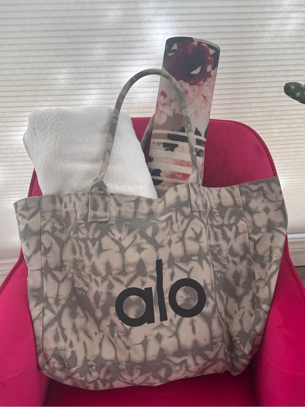 ALO Yoga Taupe and Cream Tie-Dye Canvas Tote